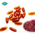 Coenzyme Q10 Softgel Capsule